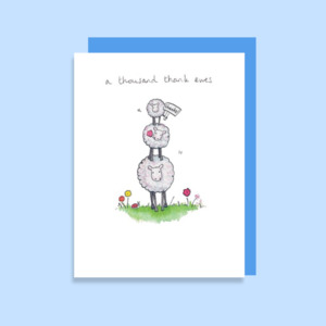 Thank You: WT29 Thousand Thank Ewes (6 pack)