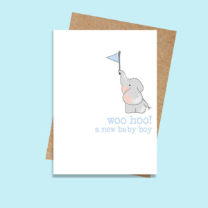 Love: SCDSWW363 Woohoo Baby Boy (6 pack)