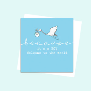 SCBBBC29 Because it's a Boy (6 pack)