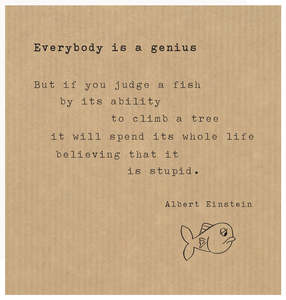 Positivity: SCLCF068 - Everybody is a Genius (6pack)