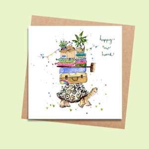 LMDFF80 New Home Tortoise (6 pack)