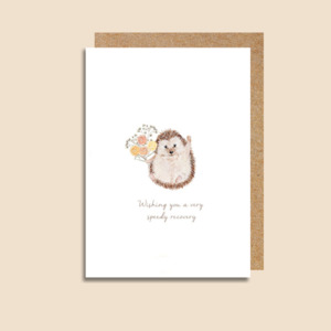 Everything Else: LRMI2 Speedy Recovery (6 pack)