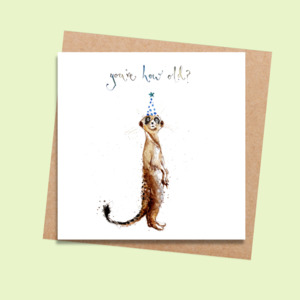 Humour: LMDWL03 How Old? Meerkat (6 pack)