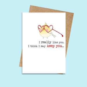 DSWW591 I may keep you (6 pack)