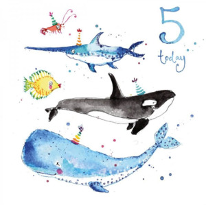 Baby Children: SCLMDLOB5 5th Birthday (6 pack)