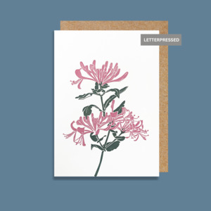 Penguin Ink: PI852 Honeysuckle (6 pack)