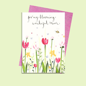 LMDMO17 Blooming Wonderful Mum (6 pack)