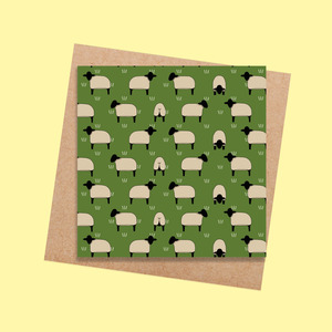 RTD35 Sheep (6 pack)