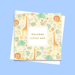 Dandelion Stationery: DSPE404 Welcome Little One (6 pack)
