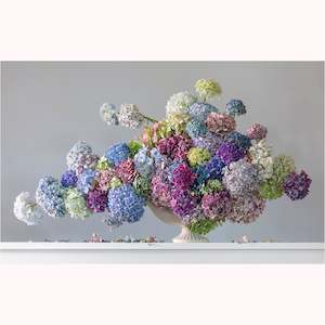 Floral Portraits: Nimbus Hydrangea