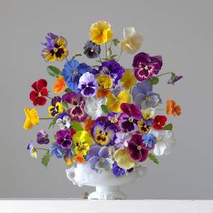 Floral Portraits: Happy Campers