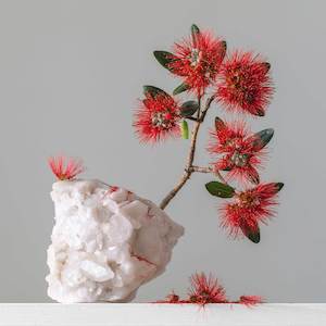 White Quartz (Brazil) Pohutukawa