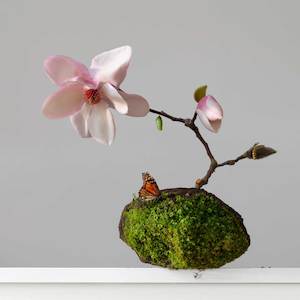 Scoria (NZ) Magnolia