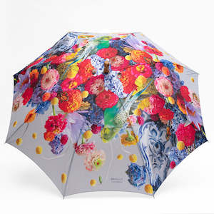 Brolly Puzzle: Brolly by Bass