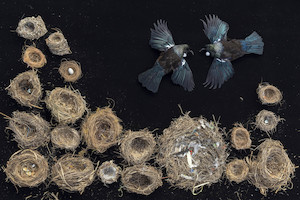 Community, hapori 2. 2022