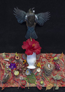 The Messengers Nga Karere: The Messenger, nga karere 2. 2022