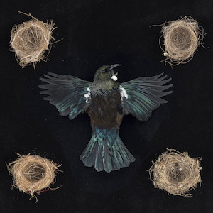 The Messengers Nga Karere: Emblem, tohu 2. 2022