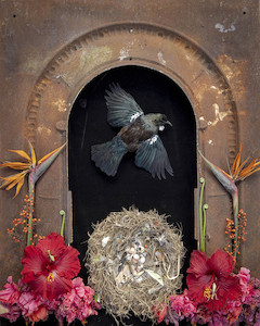 Crucible, oko whakawera 2. 2022