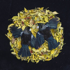 Home, haukāinga 2. 2022