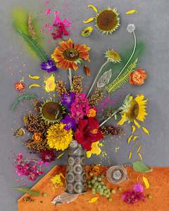 Florassemblage: Florassemblage VI