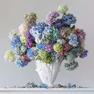 Gallery Only Artworks: Into the Blue