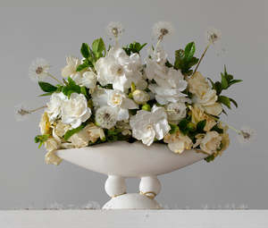 Gardenias & Dandelions 5.54 pm