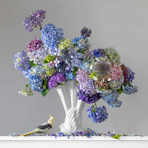 30 Off Artworks: Hydrangeas 3.40pm