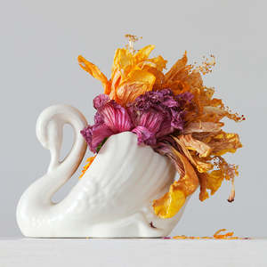 30 Off Artworks: Hibiscus Swan 3.23 pm