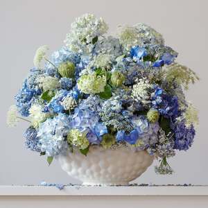 Hydrangeas & Queen Ann's Lace 8.15am