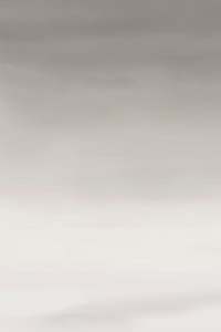 Trade Samples: Sample - Stratum Grasscloth Ashen