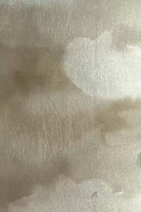 Sample - Dispersion Wallpaper Champagne metallic