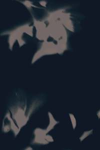 Sample - Drift Wallpaper Shadow Brushed Metallic
