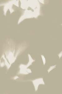 Sample - Drift Wallpaper Wheat Brushed Metallic
