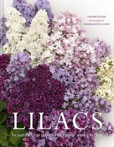 Flowers Floral: Lilacs - Naomi Slade