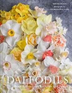 Flowers Floral: Daffodils - Naomi Slade