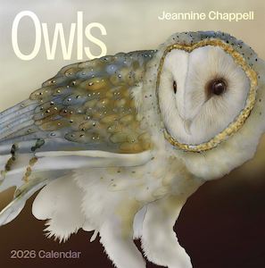 Calendars And Diaries: 2026 Calendar - Owls