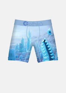 All Accessories: Ethika Toddlers Bomber City of Stillness Staple