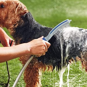 Affordable Pet Accessories: Dog Shower Sprayer Attachment