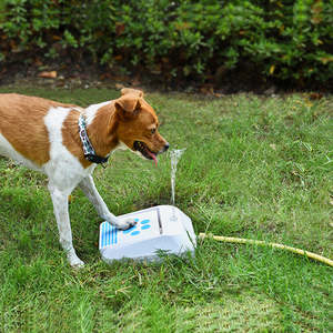 Affordable Pet Accessories: Outdoor Dog Water Splasher