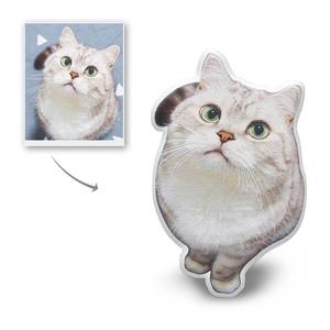 Halloween Super Sale: Custom Shaped Pillow Funny Pillow Personalized Cute Cat Pet Pillow