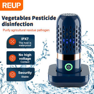 Unique Kitchen Gadgets: Vegetable Disinfection Machine