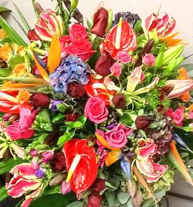 Romantic: Wild Expressions