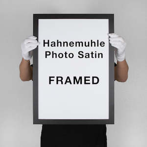 Art Papers: Hahnemuhle Photo Satin | FRAMED