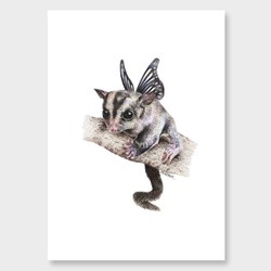 Products: Sugar glider art print by olivia bezett