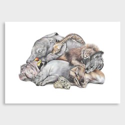 Products: Safari sleepers art print by olivia bezett