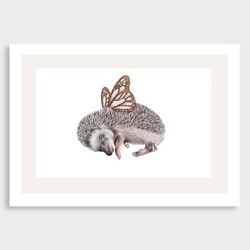 Products: Butterfly hedgehog art print by olivia bezett