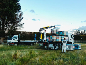 Products: Quicklift® 450 Compact Crane - Endura Equipped