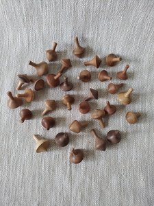 Products: Spinning Top - Engrain