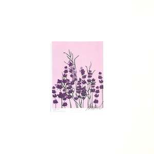 Banasil: A5 Flower Poster - Lavender