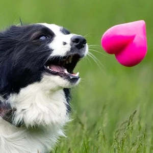 Balls: RuffDawg Hart